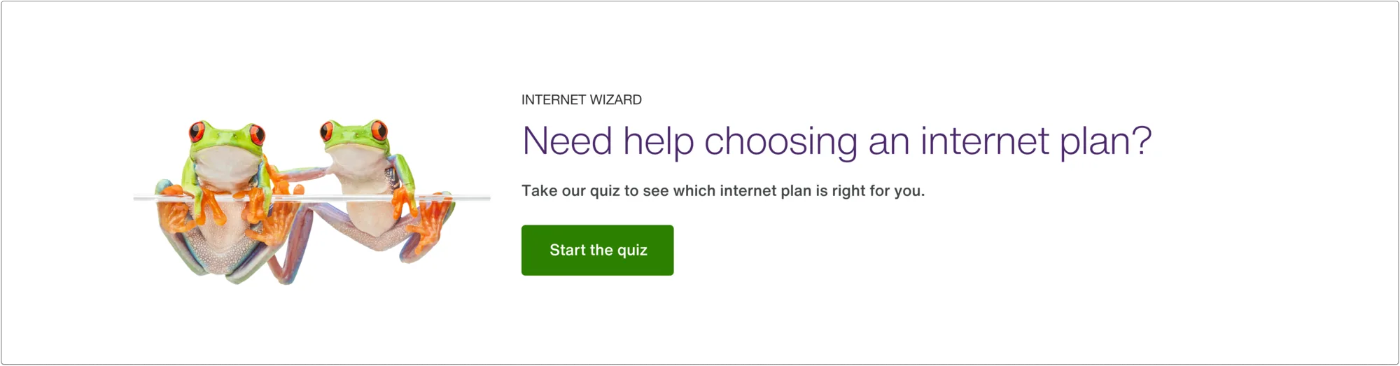 Card option A: the internet needs quiz